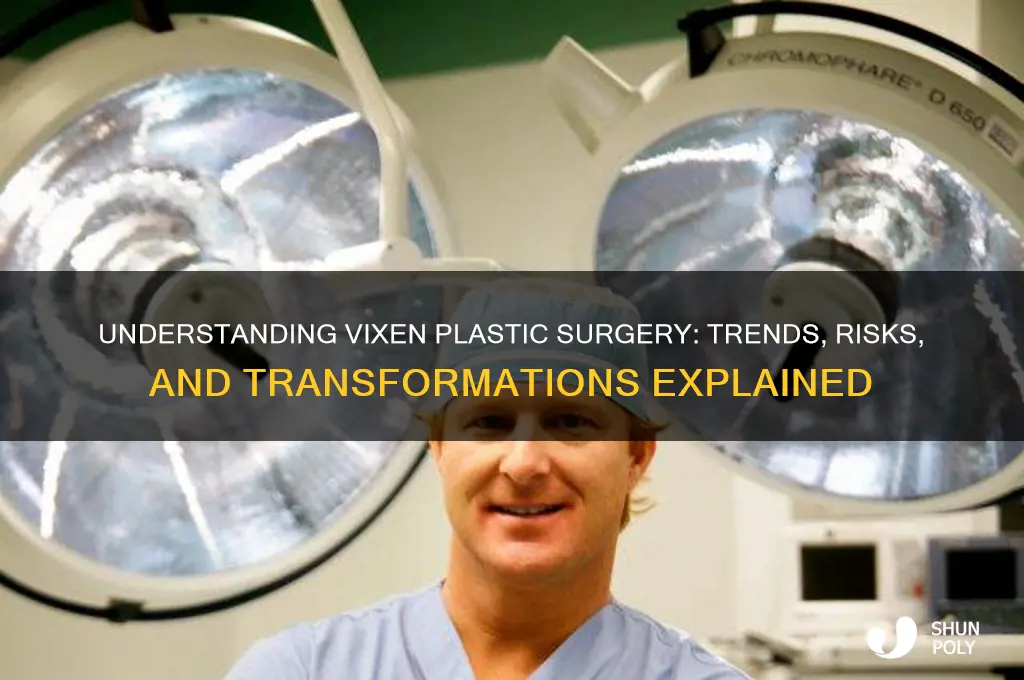 what is vixen plastic surgery