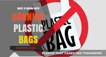 Why Banning Plastic Bags Isn't a Perfect Environmental Solution
