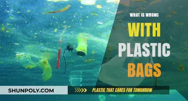 The Hidden Dangers of Plastic Bags: Environmental Impact and Solutions