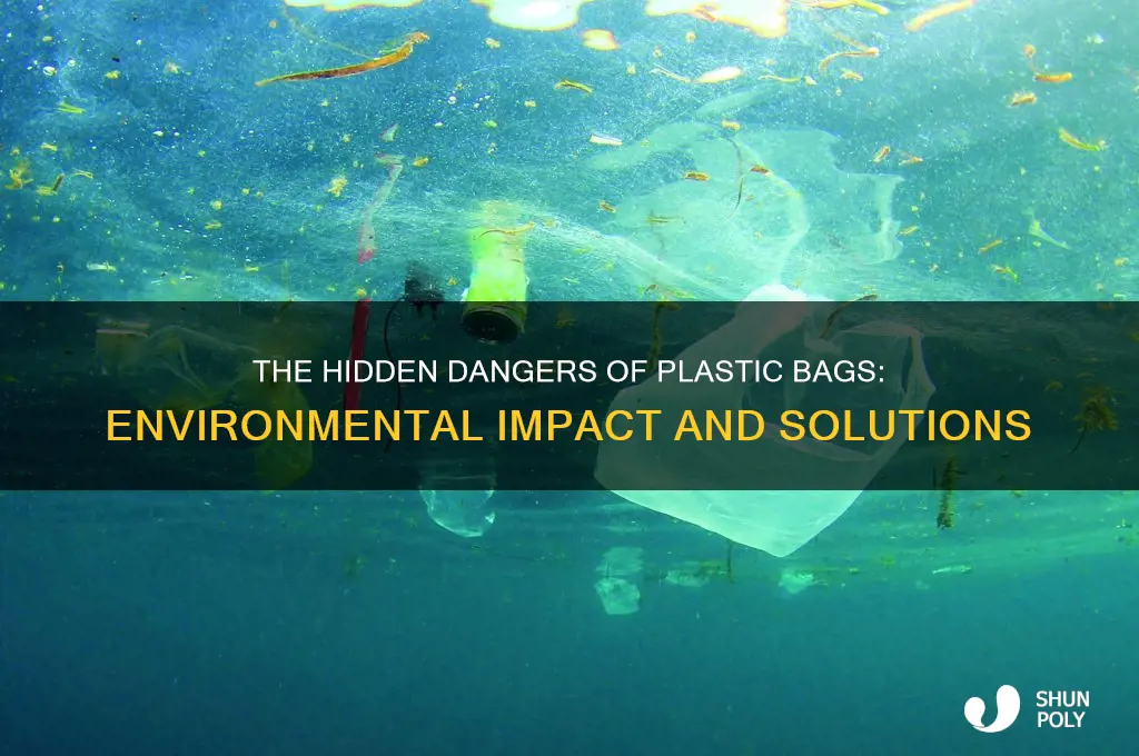 what is wrong with plastic bags