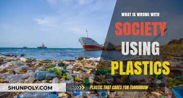 The Plastic Predicament: Unveiling Society's Environmental Achilles' Heel