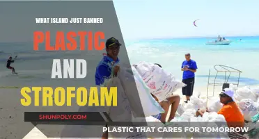 Plastic and Styrofoam: Which Island Just Said No?