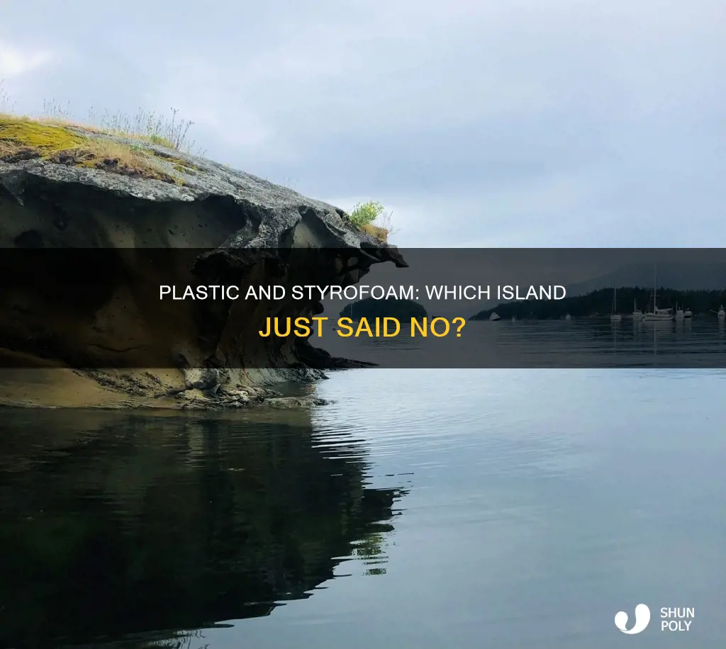 what island just banned plastic and strofoam
