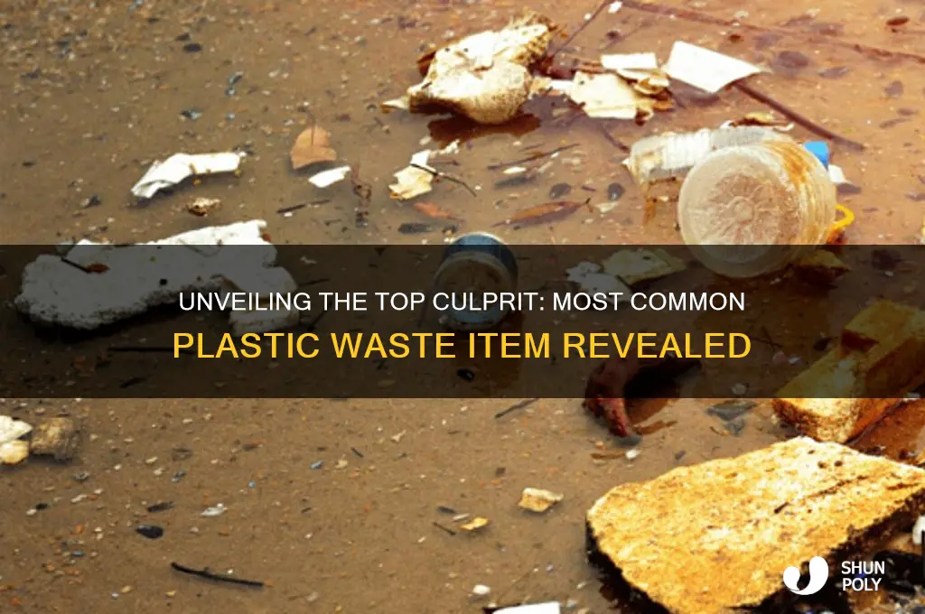 what item makes up most of the plastic waste