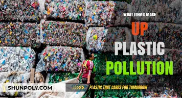 Unveiling the Culprits: Everyday Items Fueling Global Plastic Pollution Crisis
