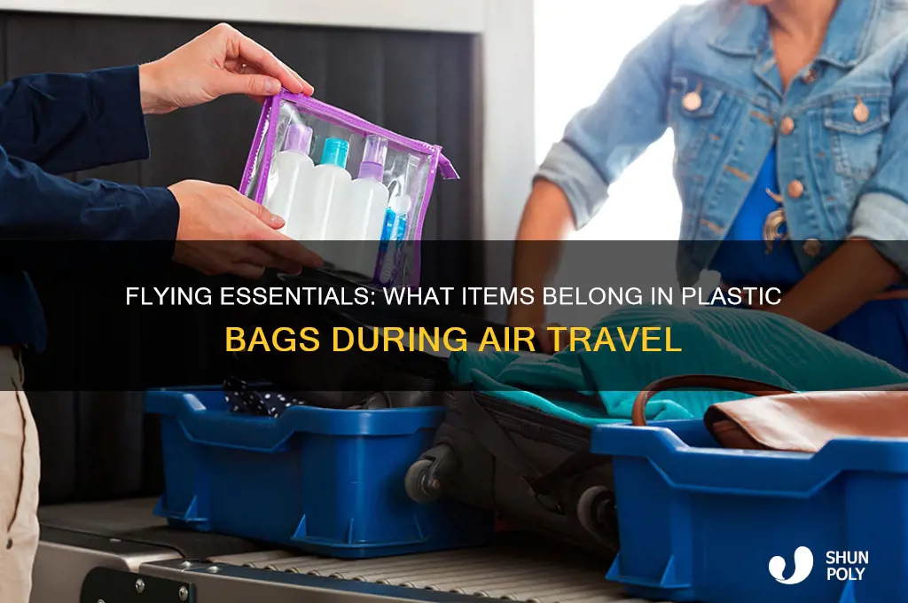 what items must go in plastic bags in flight