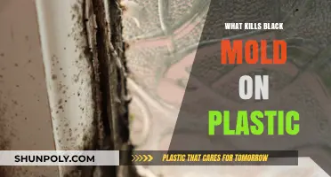 Killing Black Mold on Plastic: Effective Solutions
