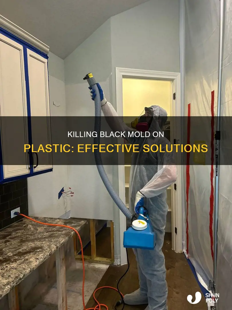 what kills black mold on plastic