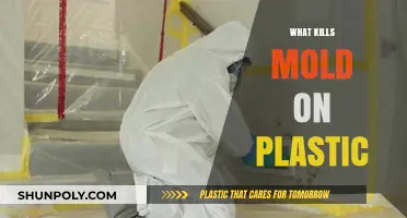 Effective Ways to Eliminate Mold from Plastic Surfaces