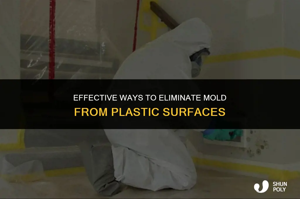 what kills mold on plastic