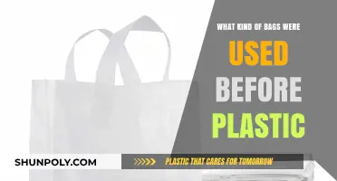Eco-Friendly Alternatives: A Look at Pre-Plastic Shopping Bags