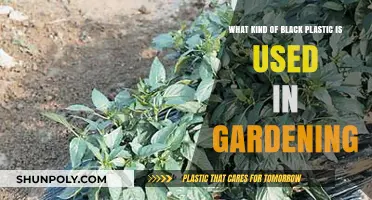 Exploring the Types of Black Plastic Utilized in Gardening