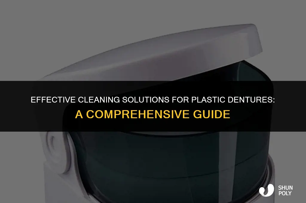 what kind of cleaner can be used for plastic dentures