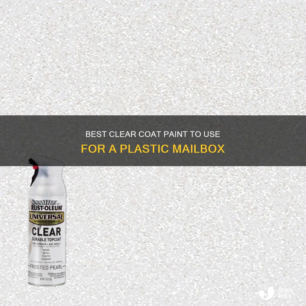 what kind of clear coat paint for plastic mailbox