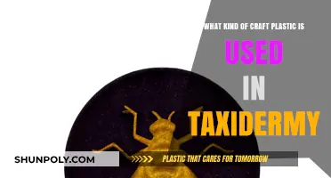 Exploring the Types of Craft Plastic Utilized in Taxidermy Art