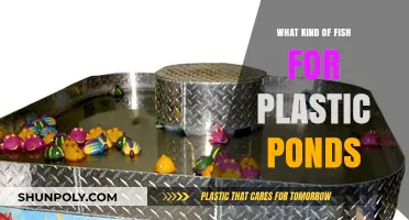Best Fish for Your Plastic Pond