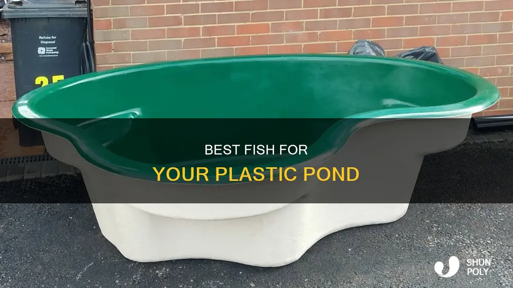 what kind of fish for plastic ponds