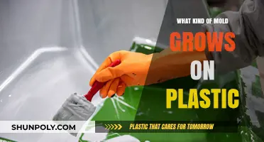 Mold on Plastic: Understanding the Growth