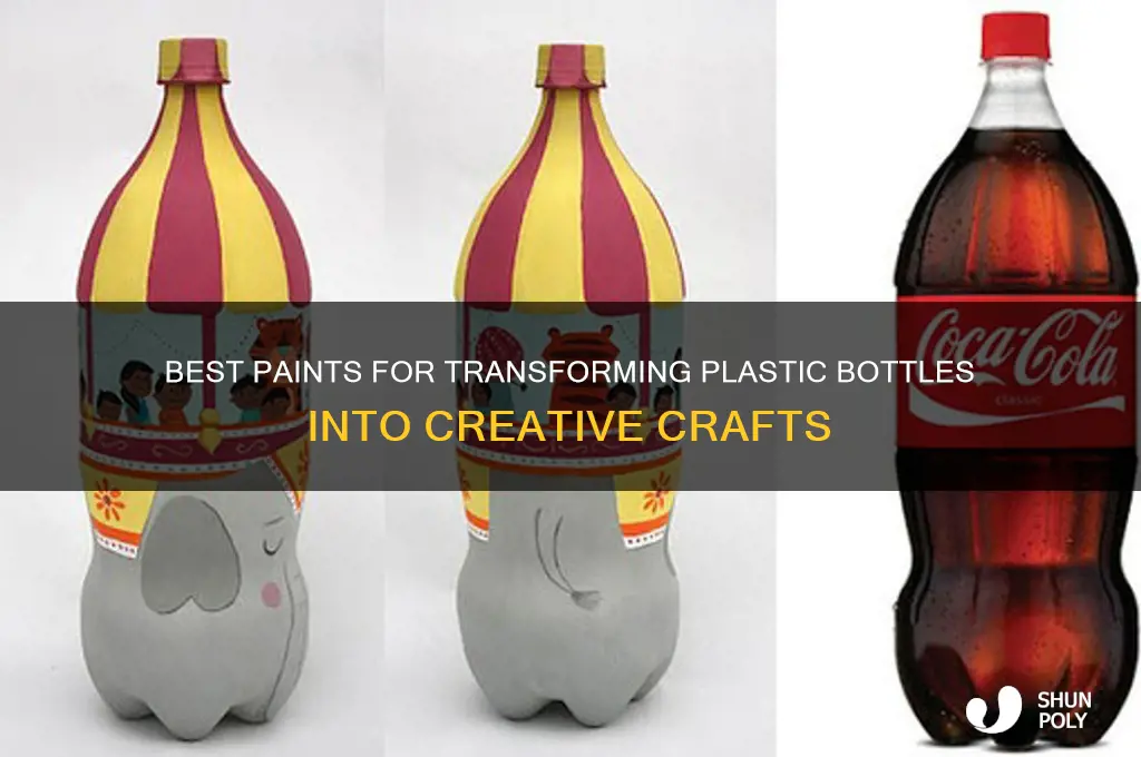 what kind of paint can be used on plastic bottles