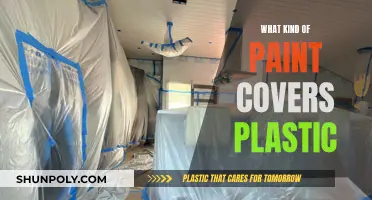 Best Paint for Plastic Surfaces: Ultimate Guide