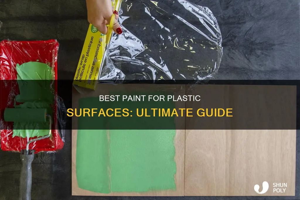 what kind of paint covers plastic