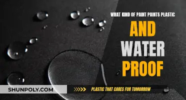 Best Paints for Plastic: Waterproof and Long-lasting