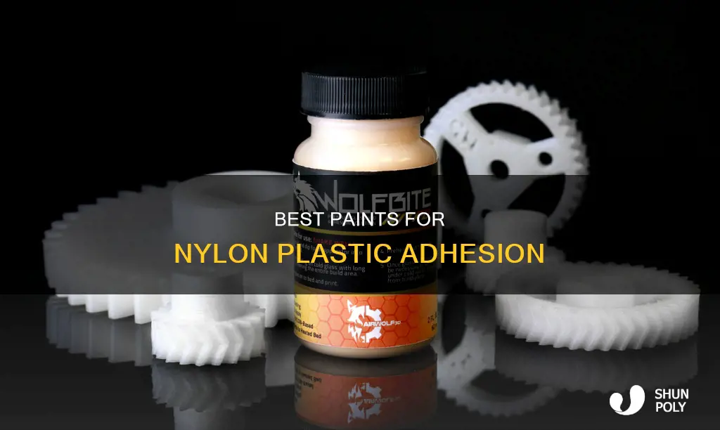 what kind of paint sticks to nylon plastic
