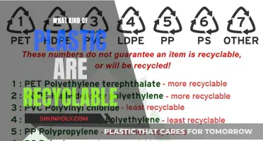 The Plastic Recycling Conundrum: What Plastics Are Actually Recyclable?