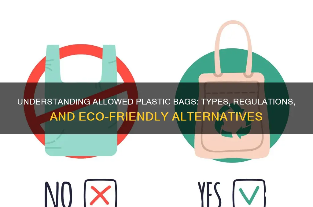 what kind of plastic bags are allowed