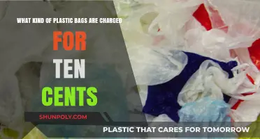 Which Plastic Bags Incur a Ten-Cent Fee at Checkout?
