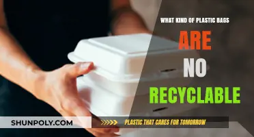 Unrecyclable Plastic Bags: Identifying Non-Recyclable Types and Their Impact
