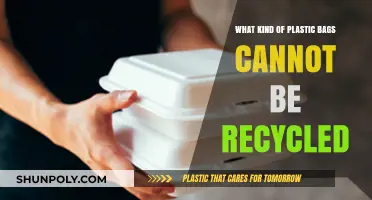 Unrecyclable Plastic Bags: Identifying Types That Harm Our Environment
