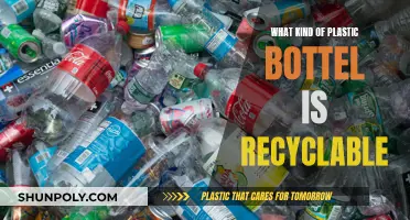 Recycling Plastic Bottles: What Types Are Safe?