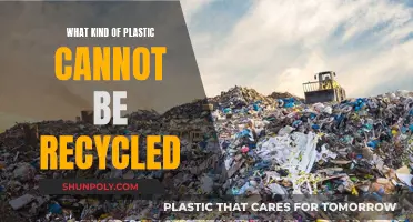 Unrecyclable Plastics: What's Not Going in the Blue Bin