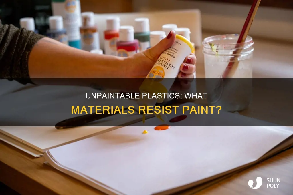 what kind of plastic cant be painted