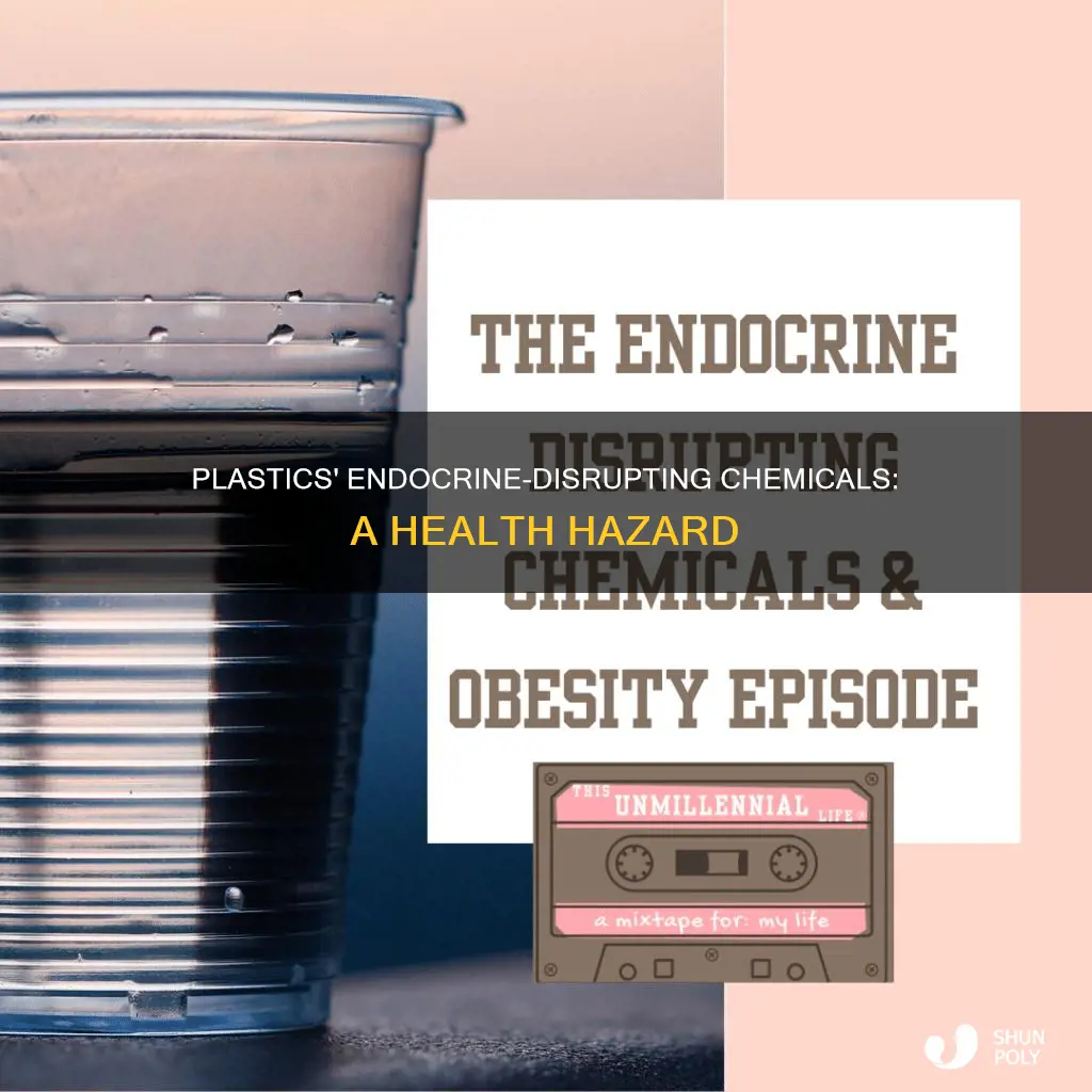 what kind of plastic causes endocrine disruption