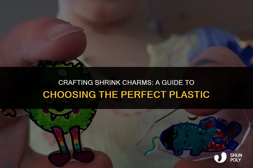 what kind of plastic do you use for shrink charms