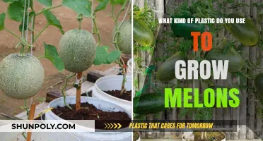 Choosing the Right Plastic for Growing Melons: A Guide