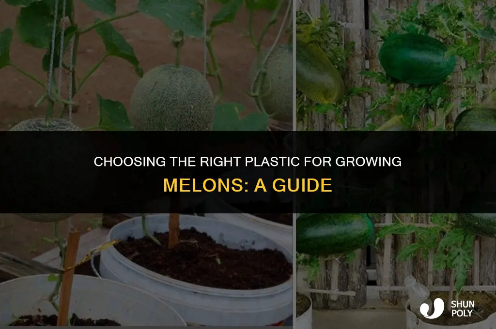 what kind of plastic do you use to grow melons