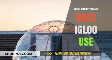 Exploring Igloo's Plastic Choices: A Comprehensive Guide