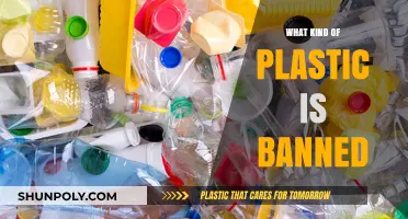 The Plastic Ban: What Kinds of Plastics Are Outlawed?