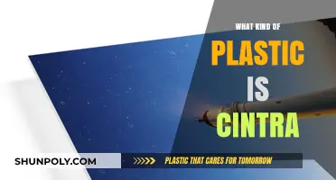 The Intriguing Nature of Sintra Plastic