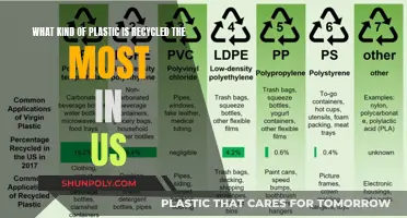 Most Commonly Recycled Plastics in the US
