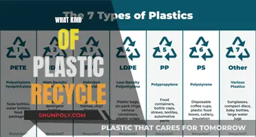 The Complexities of Plastic Recycling: Understanding Different Types