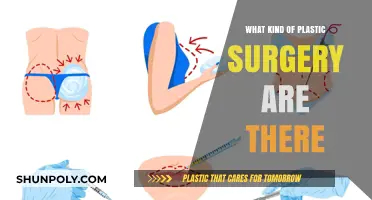 Exploring the Diverse World of Plastic Surgery Procedures and Types