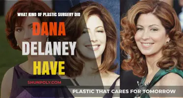 Dana Delaney's Plastic Surgery: Rumors, Facts, and Transformation Explored