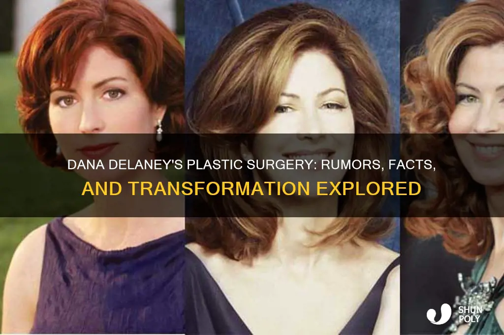 what kind of plastic surgery did dana delaney have