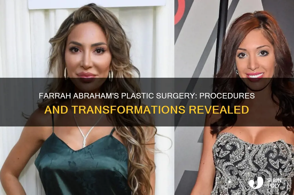 what kind of plastic surgery did farrah abraham have