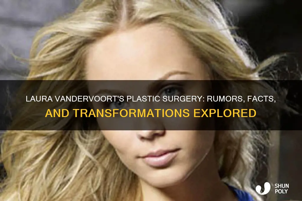 what kind of plastic surgery has laura vandervoort had