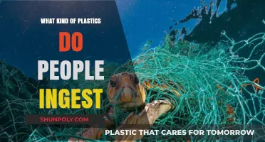 Plastics in Our Food: What Are We Eating?